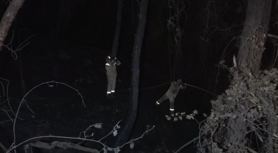 Alanya’da Orman Yangınında 3 Hektarlık Alan Zarar Gördü