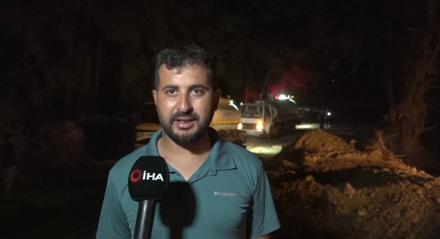 Alanya’da Orman Yangınında 3 Hektarlık Alan Zarar Gördü