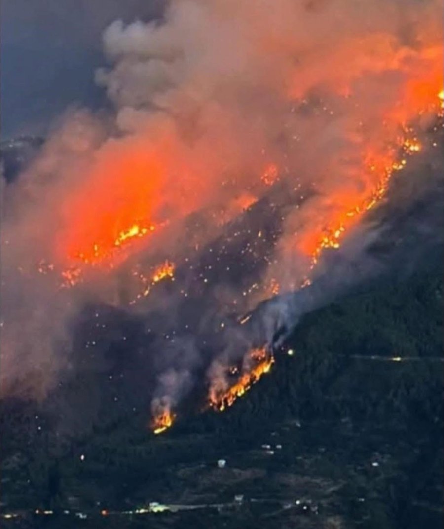 Yaban Keçileri Yangın Sebebiyle Doğal Yaşam Alanlarından Kaçarken Görüntülendi