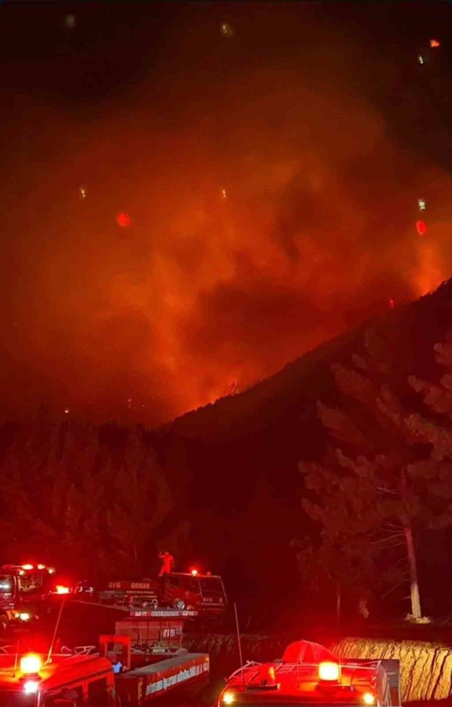 Yaban Keçileri Yangın Sebebiyle Doğal Yaşam Alanlarından Kaçarken Görüntülendi