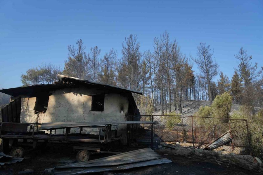 Serik’teki Orman Yangınında Evler Ve Ahırlar Yandı