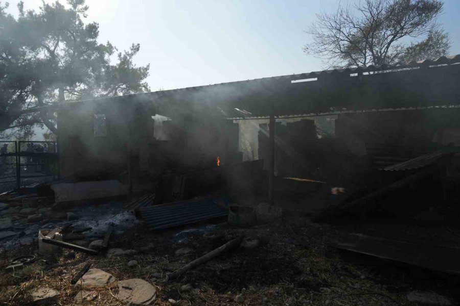 Serik’teki Orman Yangınında Evler Ve Ahırlar Yandı