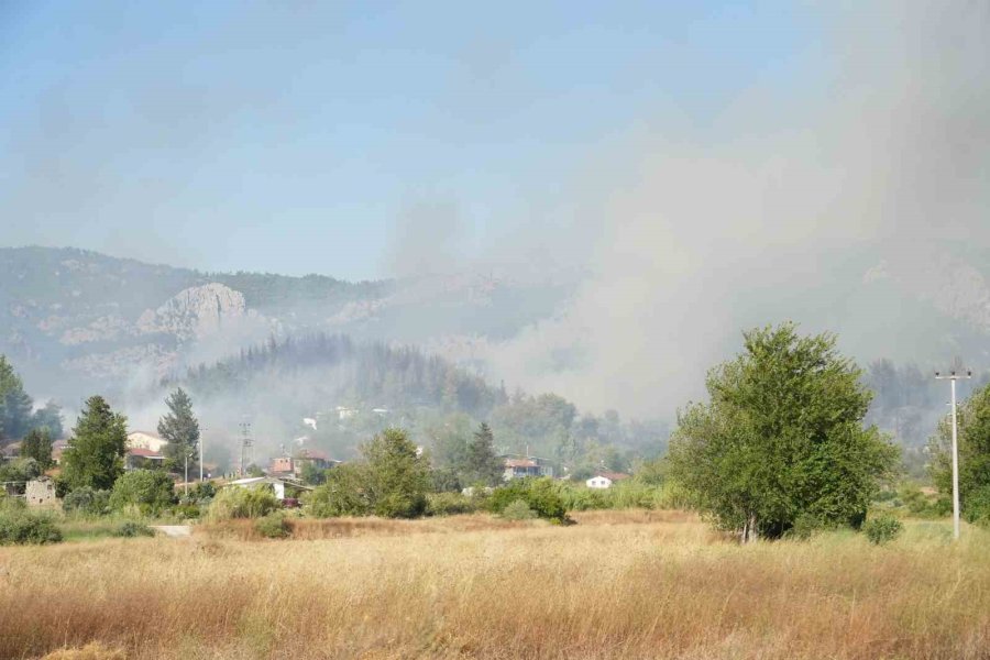 Serik’teki Orman Yangınında Evler Ve Ahırlar Yandı