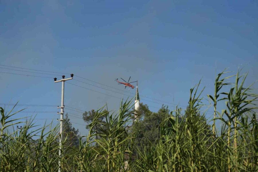 Serik’teki Orman Yangınında Evler Ve Ahırlar Yandı