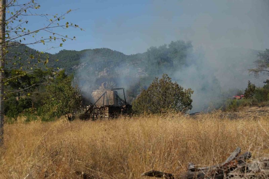 Serik’teki Orman Yangınında Evler Ve Ahırlar Yandı