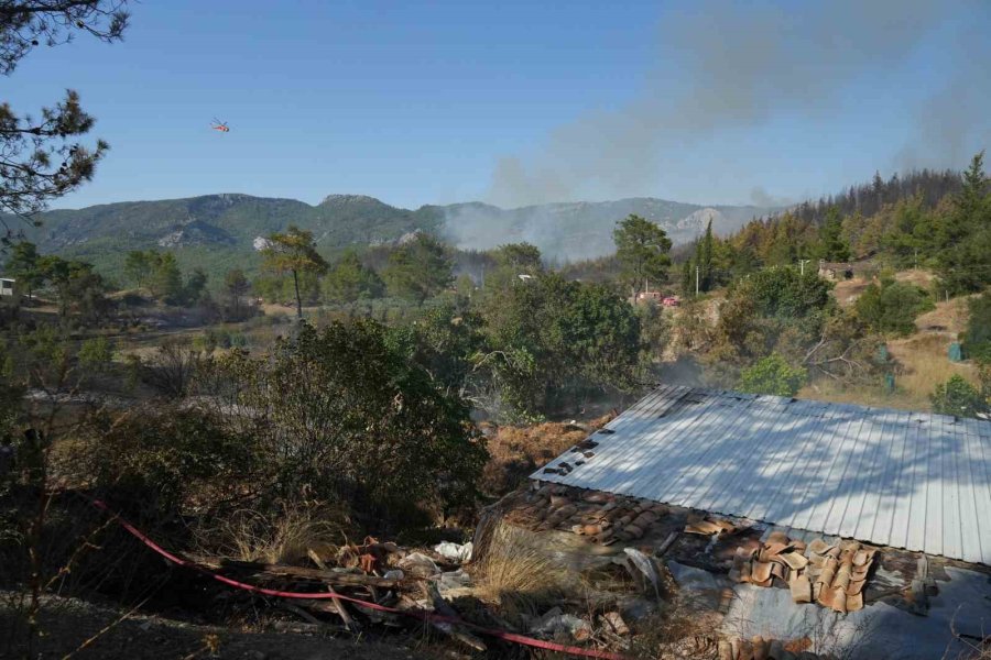 Serik’teki Orman Yangınında Evler Ve Ahırlar Yandı