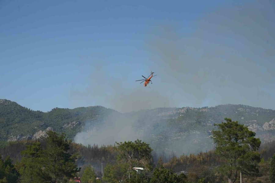 Serik’teki Orman Yangınında Evler Ve Ahırlar Yandı