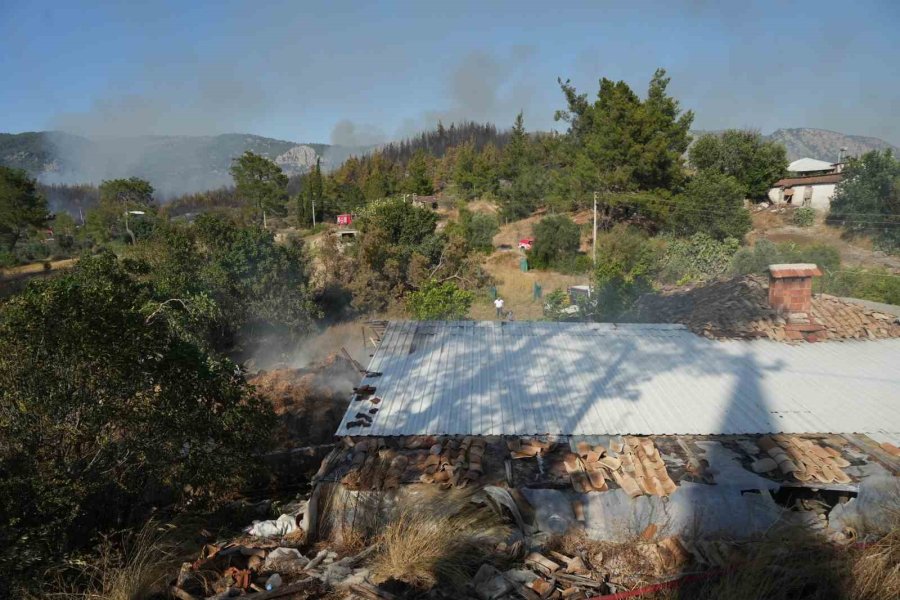 Serik’teki Orman Yangınında Evler Ve Ahırlar Yandı