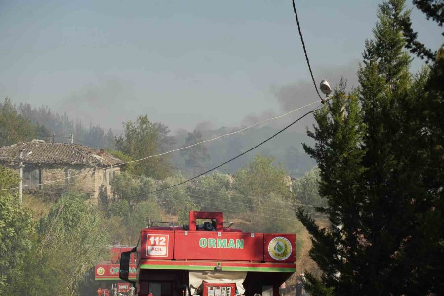 Serik’teki Orman Yangınında Evler Ve Ahırlar Yandı