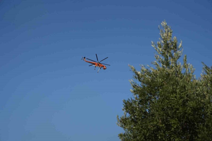 Serik’teki Orman Yangınında Evler Ve Ahırlar Yandı