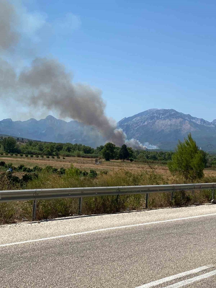 Serik’te Orman Yangını