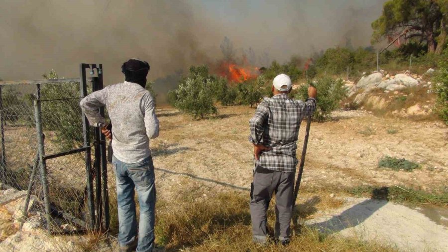 Mersin’deki Orman Yangınına 3 Helikopter Ve Arazözlerle Müdahale Ediliyor