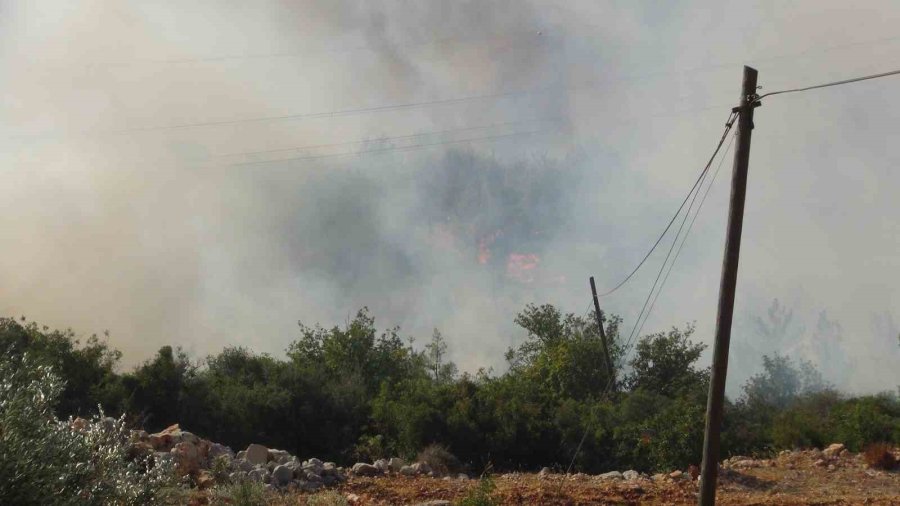 Mersin’deki Orman Yangınına 3 Helikopter Ve Arazözlerle Müdahale Ediliyor