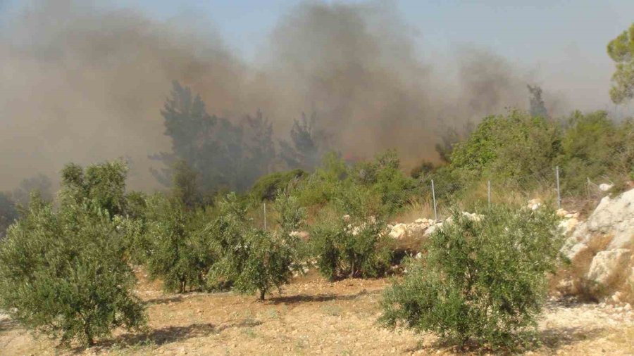 Mersin’deki Orman Yangınına 3 Helikopter Ve Arazözlerle Müdahale Ediliyor