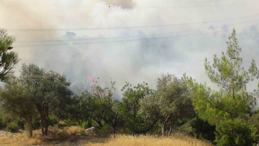Mersin’deki Orman Yangınına 3 Helikopter Ve Arazözlerle Müdahale Ediliyor