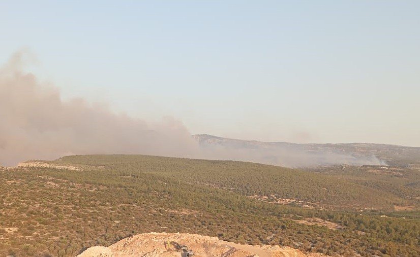 Silifke’de Orman Yangını