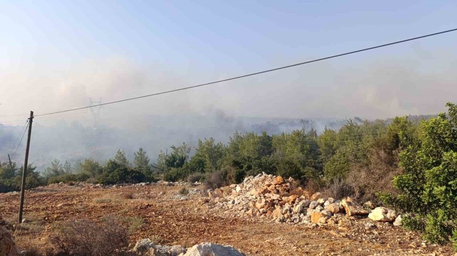 Mersin’deki Orman Yangını: Havadan Müdahale Başladı