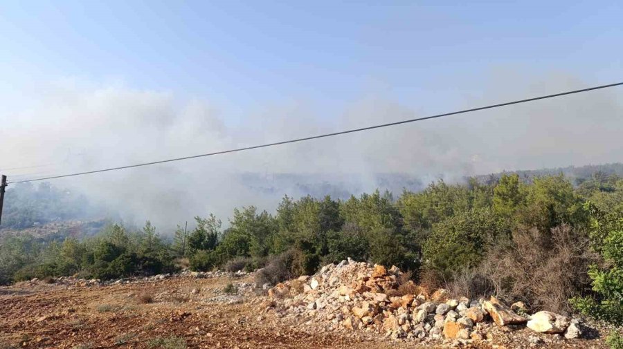 Mersin’deki Orman Yangını: Havadan Müdahale Başladı