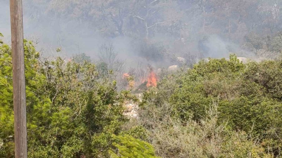 Mersin’deki Orman Yangını: Havadan Müdahale Başladı