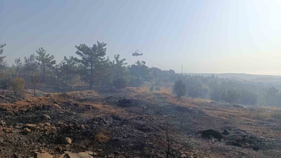 Mersin’deki Orman Yangını: Havadan Müdahale Başladı