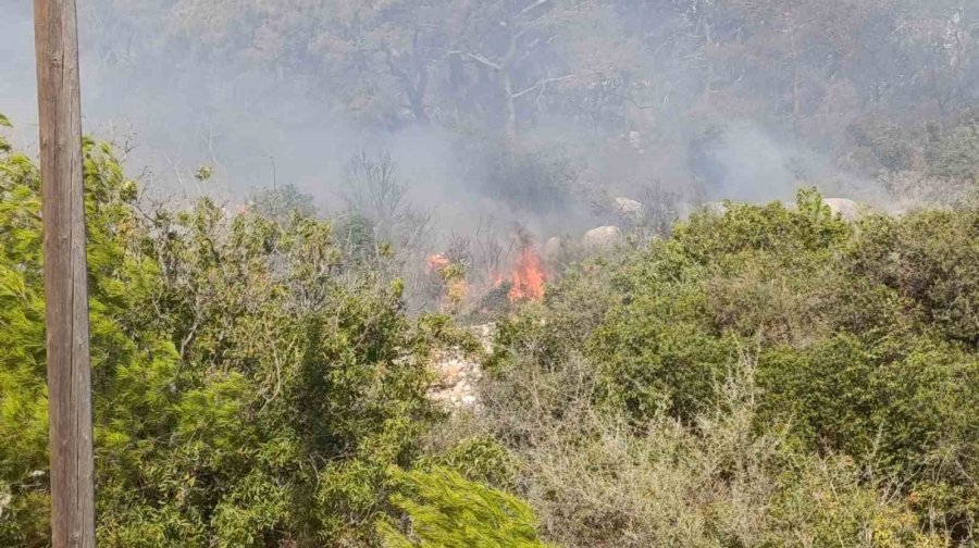 Mersin’deki Orman Yangını Nedeniyle 3 Mahalle Boşaltıldı