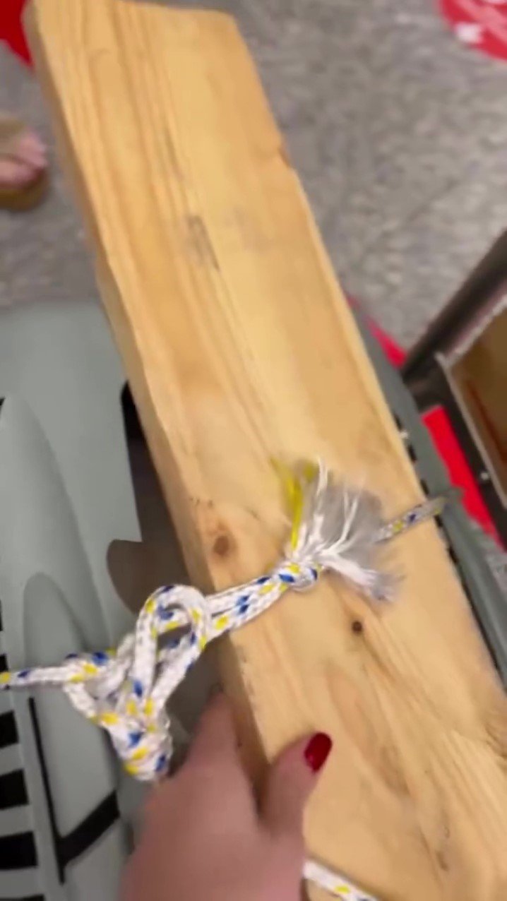 Uçağın Kargo Bölümüne Verdiği Evcil Hayvanlarını Teslim Alınca Çılgına Döndü