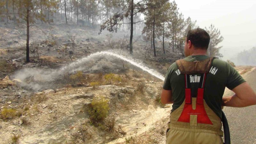 Silifke’deki Orman Yangınıyla Mücadele Devam Ediyor: 526 Personel Sahada