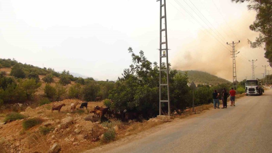 Silifke’deki Orman Yangınıyla Mücadele Devam Ediyor: 526 Personel Sahada