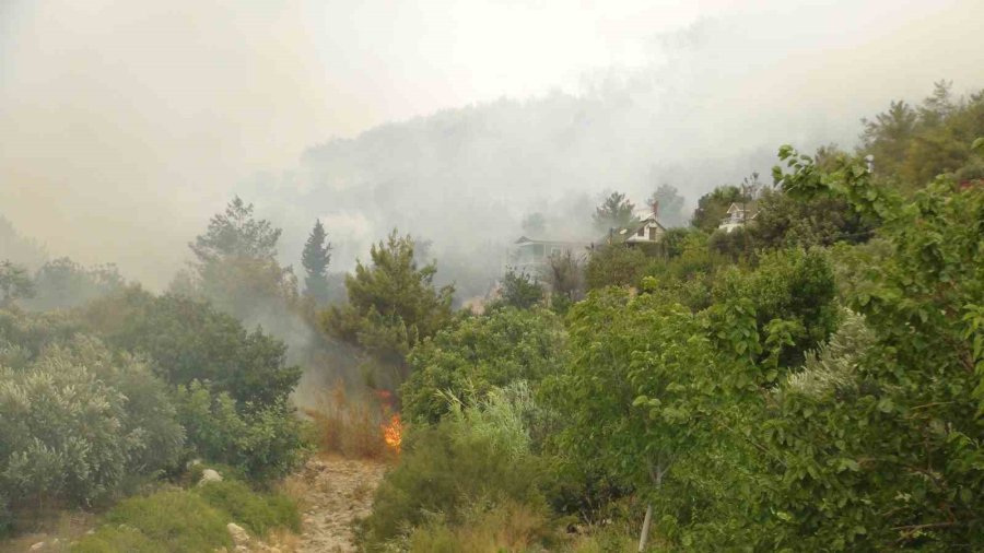 Silifke’deki Orman Yangınıyla Mücadele Devam Ediyor: 526 Personel Sahada