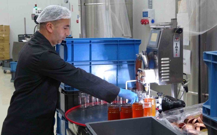 İlk Defa Eğriçayır Balında Tespit Edilmişti, Şifanın Kod Adı: Ta