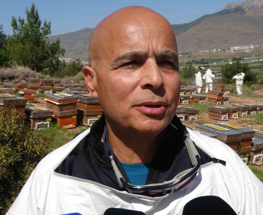 İlk Defa Eğriçayır Balında Tespit Edilmişti, Şifanın Kod Adı: Ta