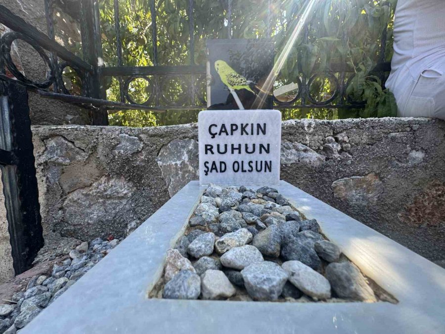 Ölen Muhabbet Kuşu İçin Mermerden Mezar Yapıp Gömdüler