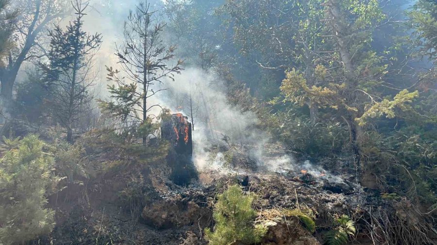Gazipaşa’daki Orman Yangını 3. Gününde Kontrol Altına Alındı