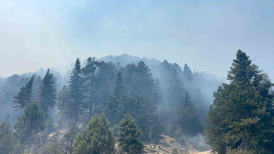 Gazipaşa’daki Orman Yangını 3. Gününde Kontrol Altına Alındı
