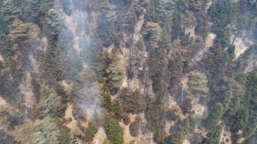 Gazipaşa’daki Orman Yangını 3. Gününde Kontrol Altına Alındı