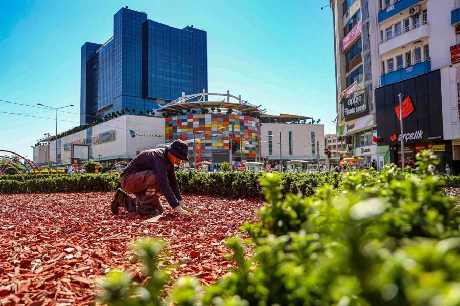 Antalya Büyükşehir Belediyesi Kurakçıl Peyzajda Da Öncü