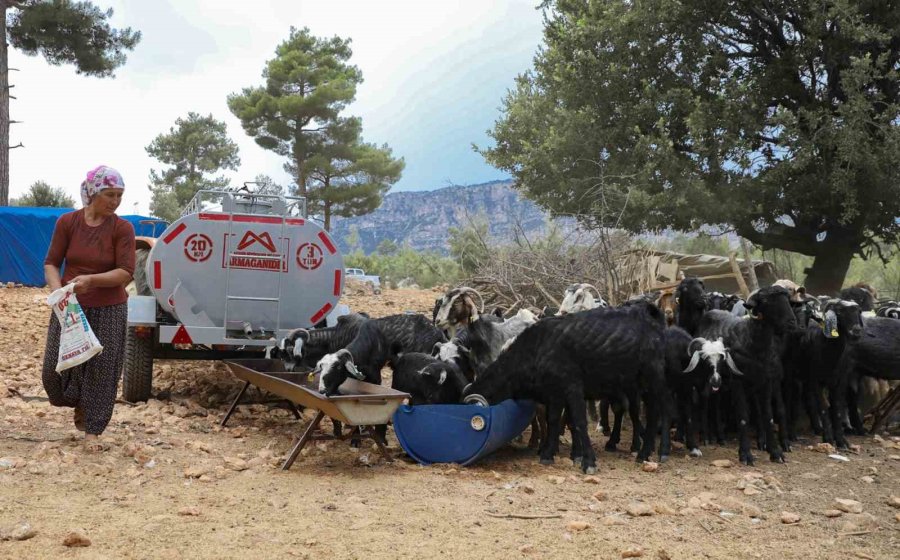 Belediyenin Sulama Tankeri Desteği Mersin’deki Yörüklerin Yüzünü Güldürdü