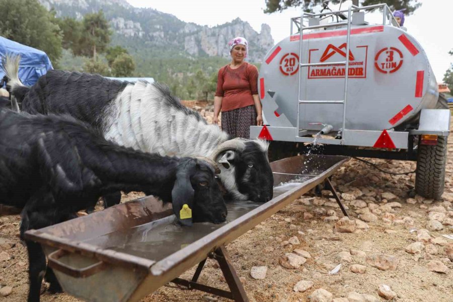 Belediyenin Sulama Tankeri Desteği Mersin’deki Yörüklerin Yüzünü Güldürdü