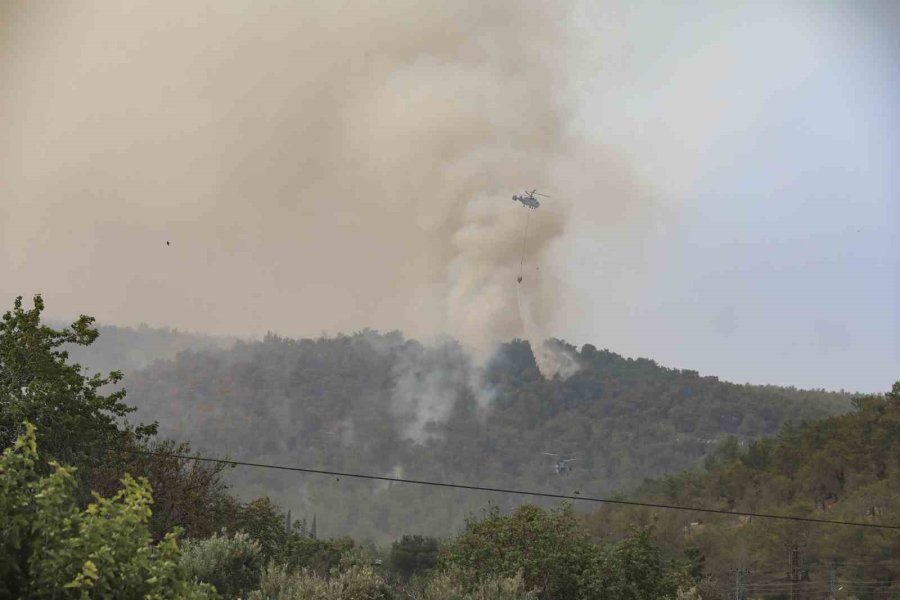 Silifke’deki Orman Yangınına Belediye Ekipleri De Müdahale Etti