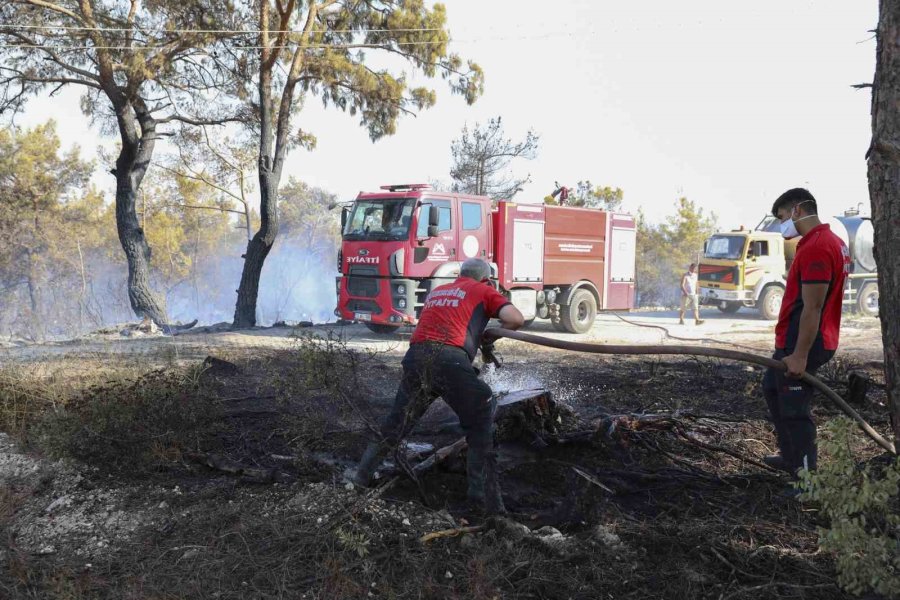 Silifke’deki Orman Yangınına Belediye Ekipleri De Müdahale Etti