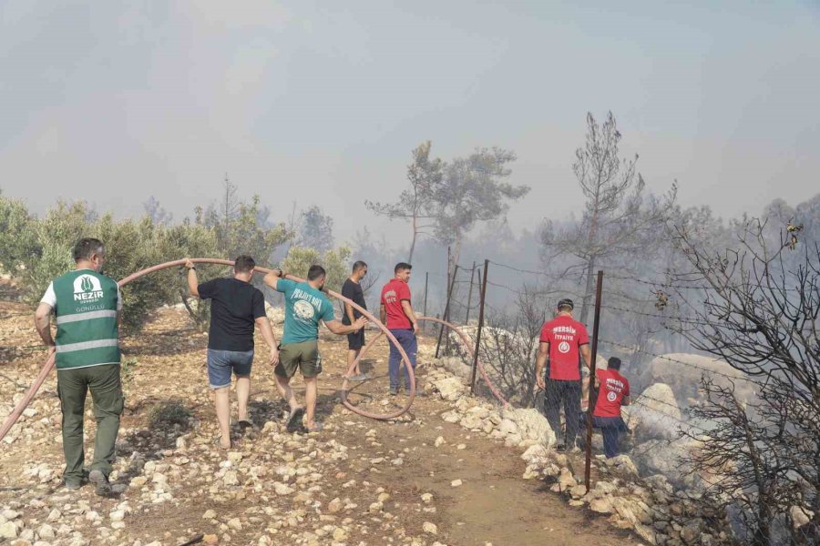Silifke’deki Orman Yangınına Belediye Ekipleri De Müdahale Etti