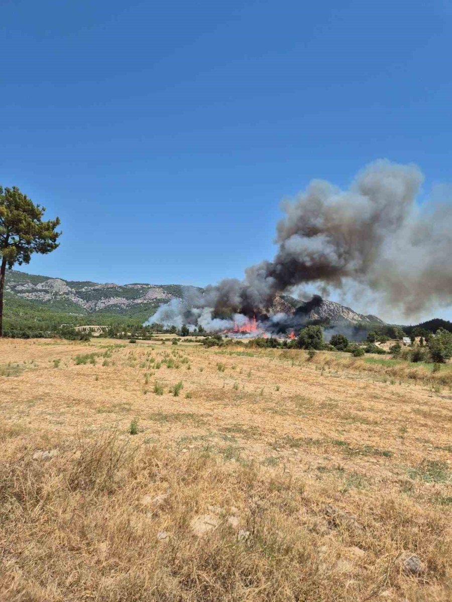 Antalya’da 3 Ev, 4 Ahırın Yandığı Orman Yangınının Başladığı An Güvenlik Kamerasında