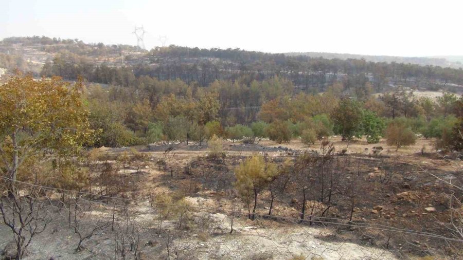 Silifke’deki Orman Yangını Büyük Ölçüde Kontrol Altına Alındı