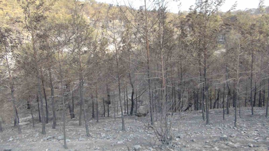 Silifke’deki Orman Yangını Büyük Ölçüde Kontrol Altına Alındı