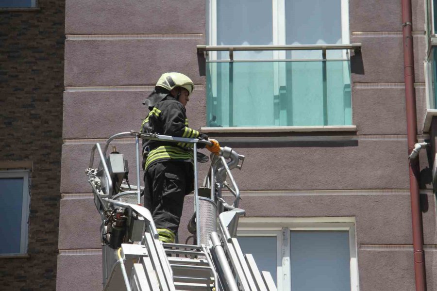 Beyşehir’de İtfaiyeden Güvercin Kurtarma Operasyonu