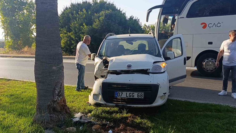 Direksiyon Hakimiyetini Kaybeden Sürücü Palmiyeye Çarptı