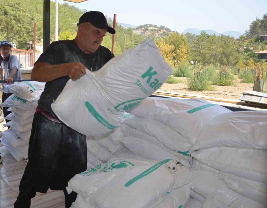 Büyükşehir Alanyalı Çiftçilere 10 Ton Kaolin Kili Dağıttı