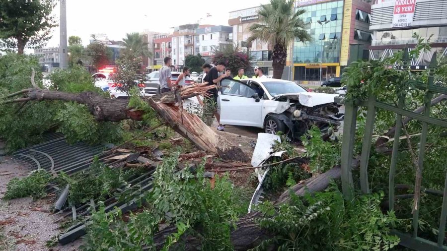 Ortalığın Savaş Alanına Döndüğü Kazada Kimsenin Burnu Bile Kanamadı