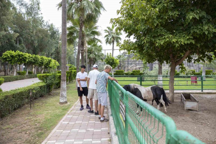 Almanya’dan Gelen Öğrenciler Mersin’de Kültürlerarası Köprü Kurdu