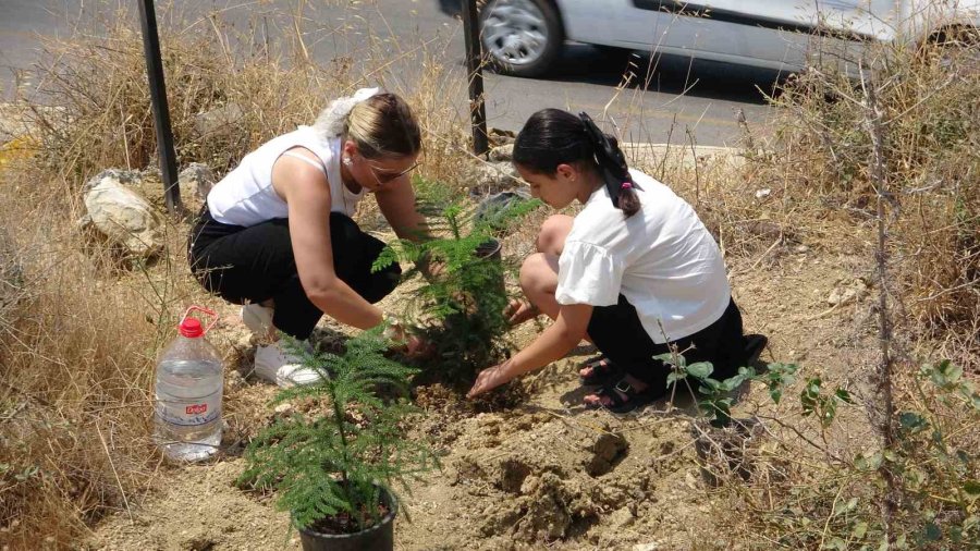 10 Yaşındaki Elif’in Fidan Sevgisi Hüsranla Sonuçlandı